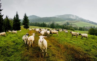 C:DCIM103GOPROGOPR3656.GPR