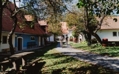 Skryta_mapa_08